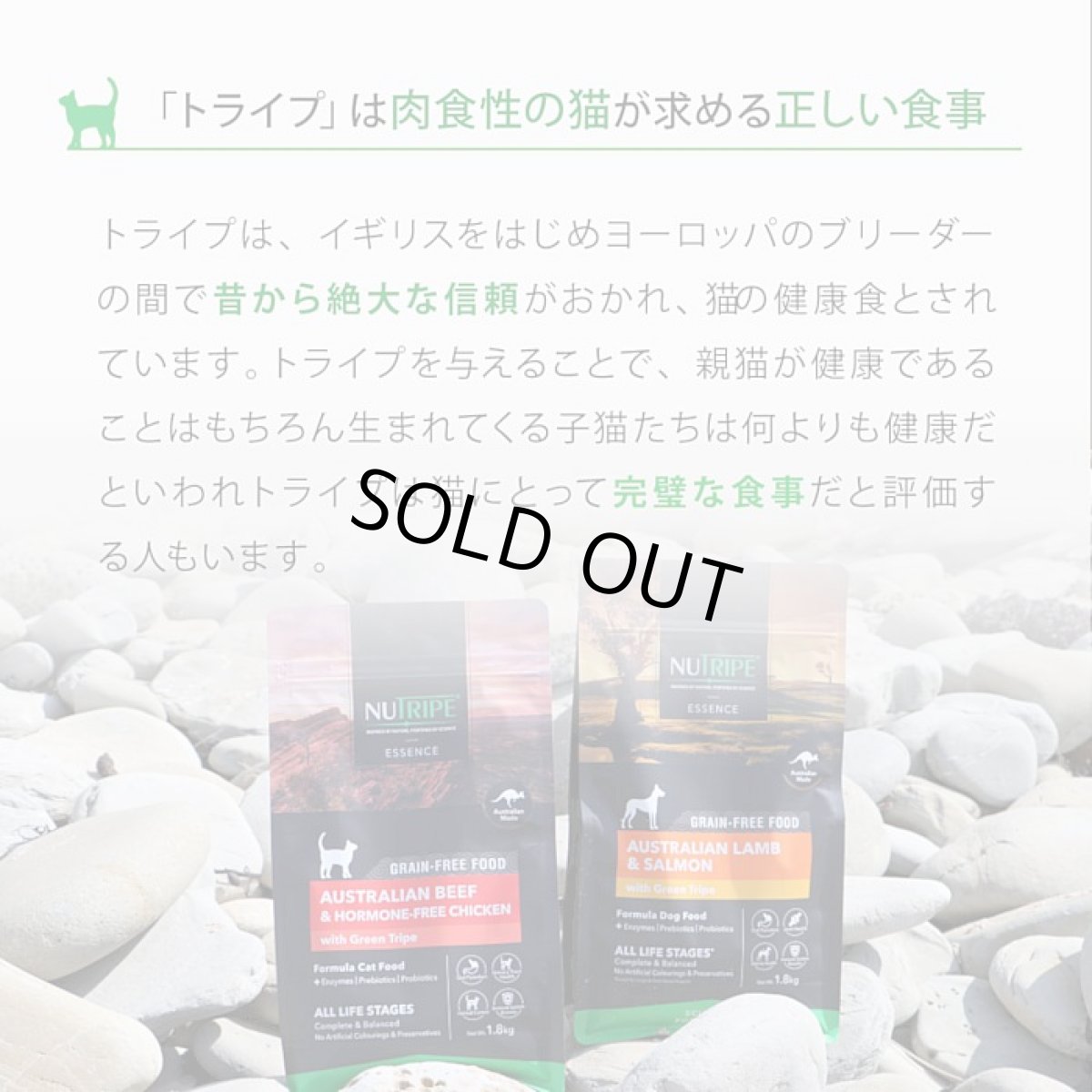 画像8: 訳ありSALE/最短賞味2026.11・ニュートライプ 猫 ビーフ＆チキン 1.8kg全年齢猫用グリーントライプ キャットフードnu35049 (8)