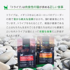 画像8: NEW 最短賞味2026.5・ニュートライプ 猫 ビーフ＆チキン 1.8kg全年齢猫用グリーントライプ キャットフードnu35049 (8)