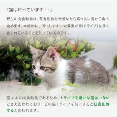画像9: NEW 最短賞味2026.5・ニュートライプ 猫 ビーフ＆チキン 1.8kg全年齢猫用グリーントライプ キャットフードnu35049 (9)
