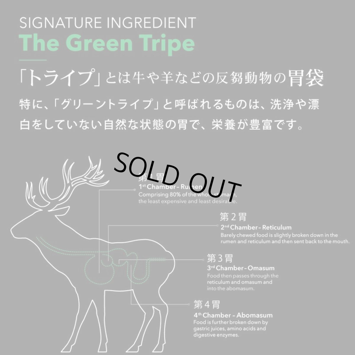 画像4: 訳ありSALE/最短賞味2026.6.18・ニュートライプ ワイルドカット フリーズドライ キングサーモンwithグリーントライプ380g全年齢犬用ドライフード正規品nu35254 (4)