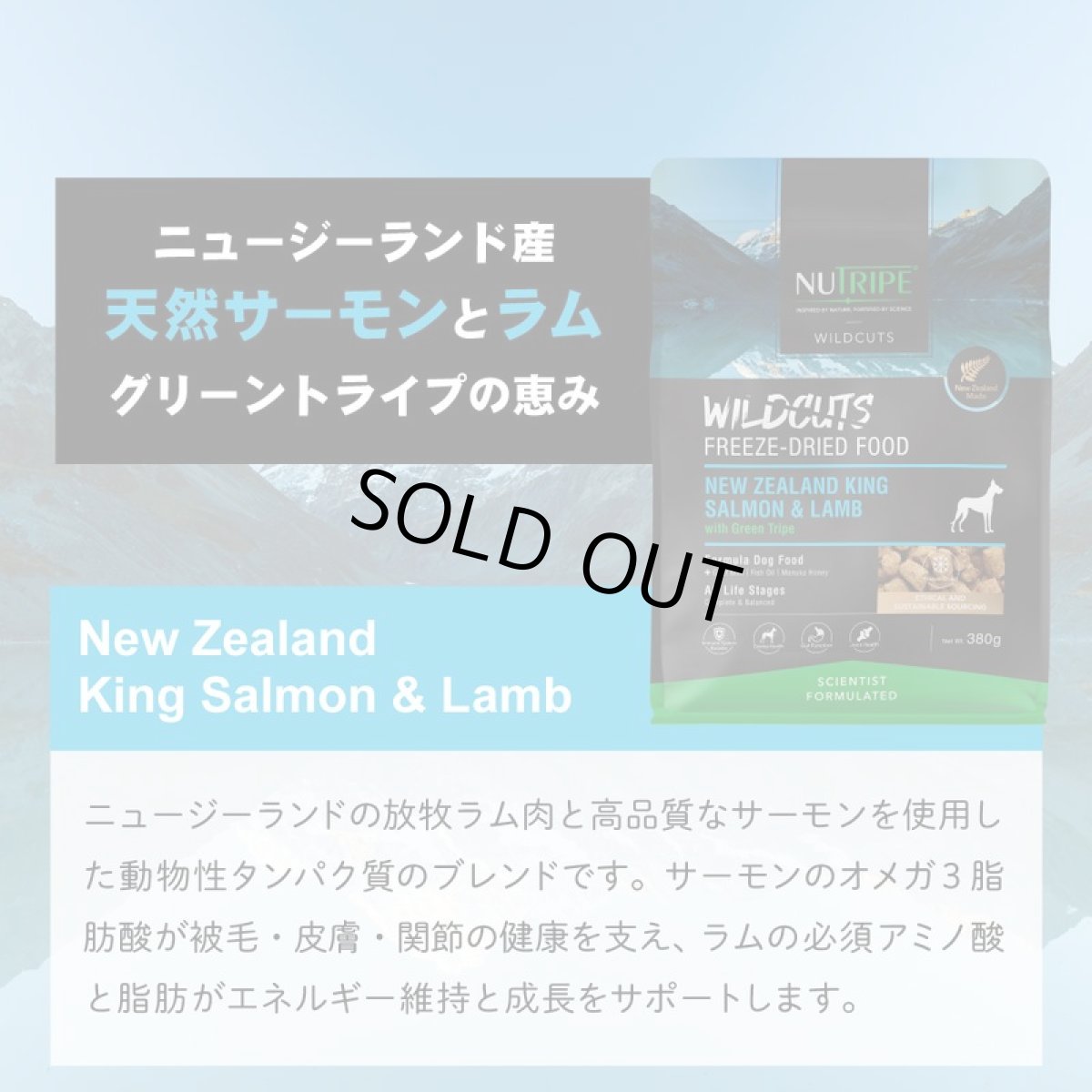 画像7: 訳ありSALE/最短賞味2026.6.18・ニュートライプ ワイルドカット フリーズドライ キングサーモンwithグリーントライプ380g全年齢犬用ドライフード正規品nu35254 (7)