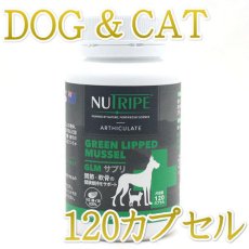 画像1: NEW 最短賞味2026.11・ニュートライプ 犬 猫用・GLM サプリ 120粒 緑イ貝100%関節 軟骨 皮膚 被毛サプリメントNUTRIPE正規品nu36077 (1)