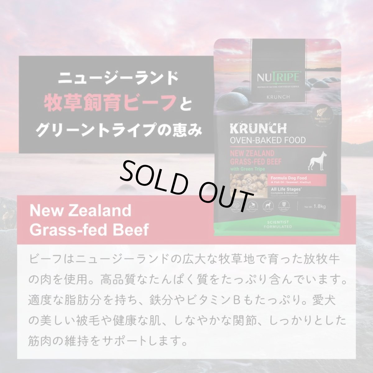 画像7: SALE/賞味切迫2026.12.5・ニュートライプ クランチ ビーフwithグリーントライプ1.8kg全年齢犬用ドライフード正規品nu36640 (7)