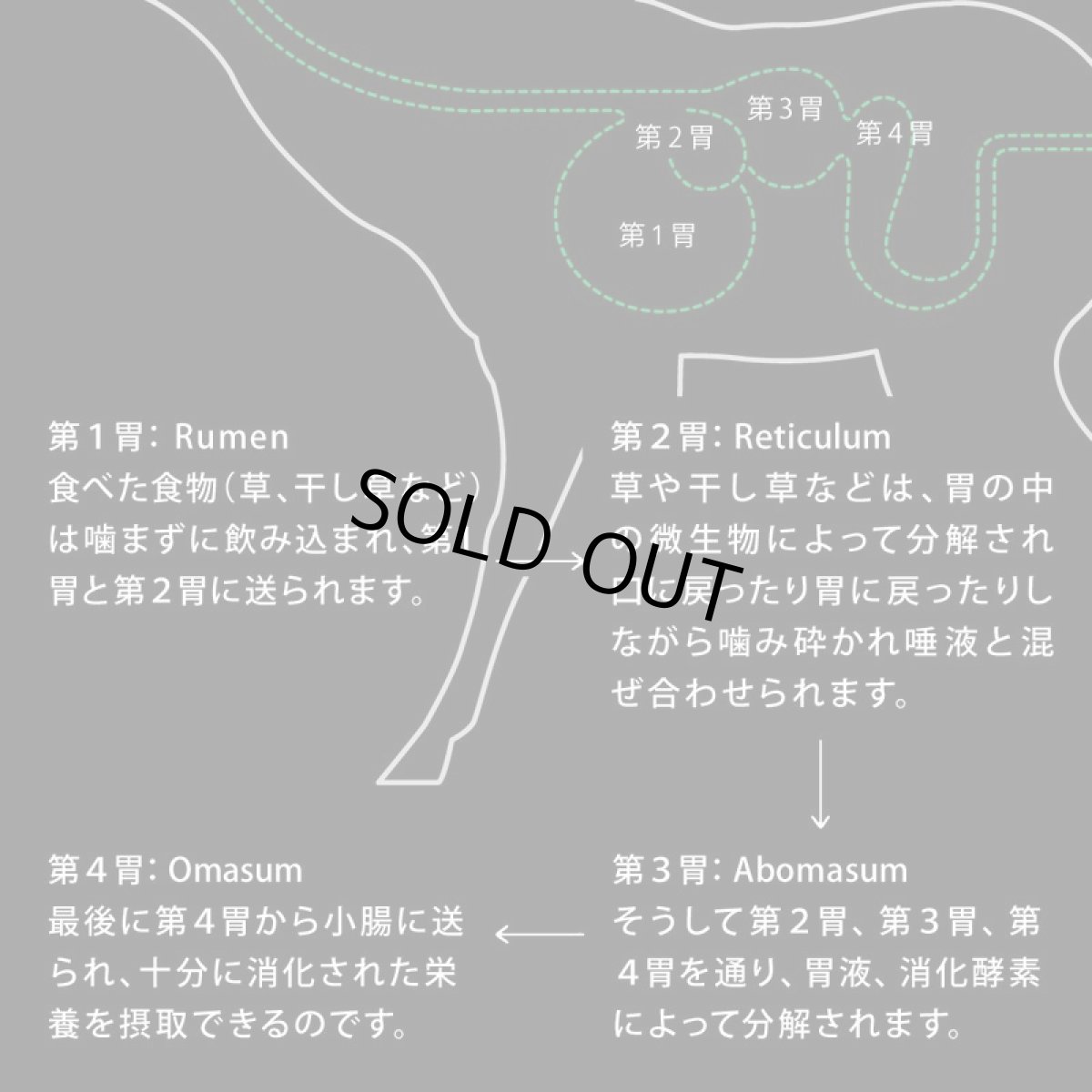 画像5: SALE!おまけ付き!最短賞味2026.6.10・ニュートライプ クランチ ビーフwithグリーントライプ7kg全年齢犬用ドライフード正規品nu36657 (5)
