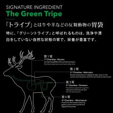 画像4: NEW 最短賞味2026.6.16・ニュートライプ クランチ キングサーモン＆ツナwithグリーントライプ30g全年齢犬用ドライフード正規品nu36664 (4)