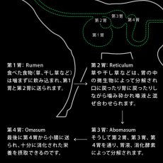 画像5: NEW 最短賞味2026.6.16・ニュートライプ クランチ キングサーモン＆ツナwithグリーントライプ30g全年齢犬用ドライフード正規品nu36664 (5)