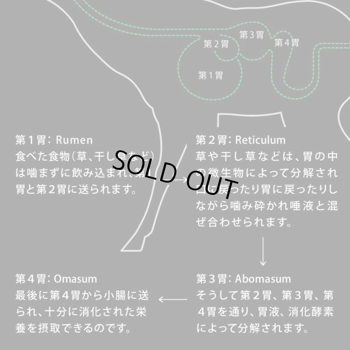 画像4: NEW 最短賞味2027.5.1・ニュートライプ 猫 クランチ サーモン＆チキンwithグリーントライプ 1.6kg全年齢猫用キャットフードnu36732 (4)