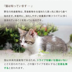 画像9: SALE/賞味2024.4・ニュートライプ 猫 ビーフ＆チキン 200g全年齢猫用グリーントライプドライ キャットフードnuc35186 (9)