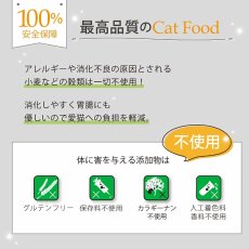画像12: 最短賞味2026.5・ニュートライプ 猫 グリーントライプ 95g全年齢対応 猫用 総合栄養食 正規品nuc37203 (12)