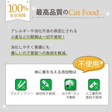 画像12: 最短賞味2026.5・ニュートライプ 猫 ビーフ＆グリーントライプ 95g全年齢対応 猫用 総合栄養食 正規品nuc37210 (12)