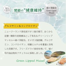 画像13: 最短賞味2026.5・ニュートライプ 猫 チキン＆グリーントライプ 95g全年齢対応 猫用 総合栄養食 正規品nuc37234 (13)