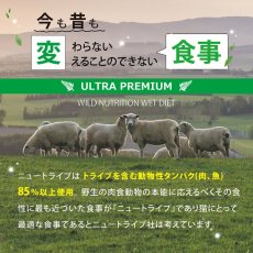 画像5: 最短賞味2026.5・ニュートライプ 猫 チキン＆グリーントライプ 95g全年齢対応 猫用 総合栄養食 正規品nuc37234 (5)