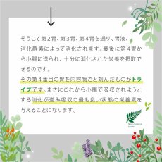 画像9: 最短賞味2026.5・ニュートライプ 猫 チキン＆グリーントライプ 95g全年齢対応 猫用 総合栄養食 正規品nuc37234 (9)