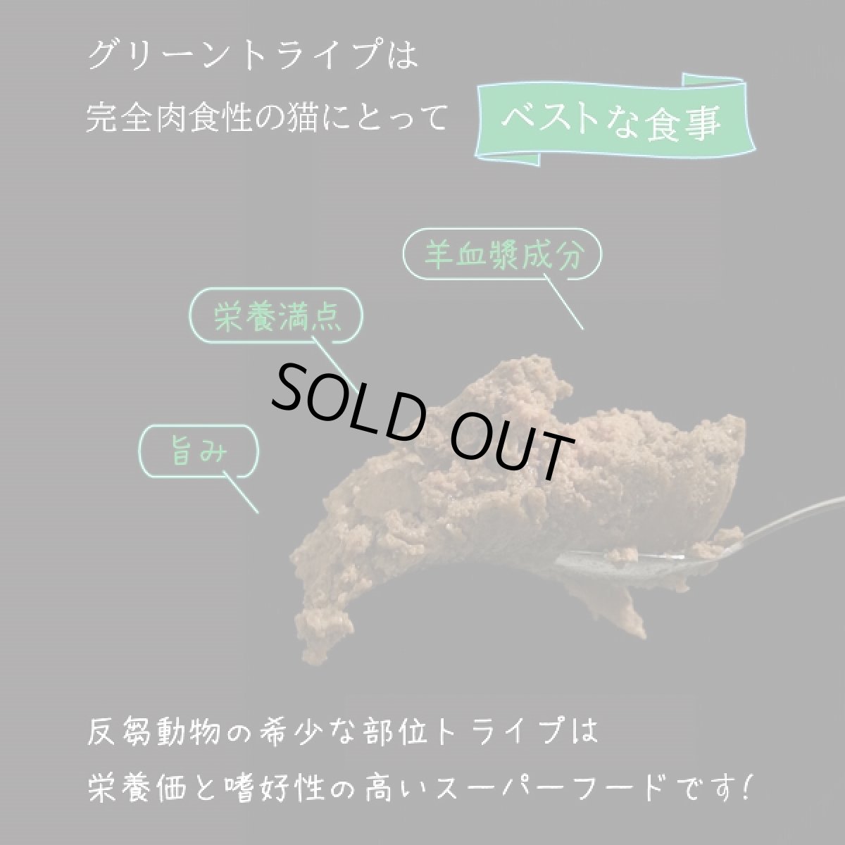 画像4: 訳ありSALE/賞味期限2026.5・ニュートライプ 猫 サーモン＆グリーントライプ 95g全年齢対応 猫用 総合栄養食 正規品nuc37241 (4)