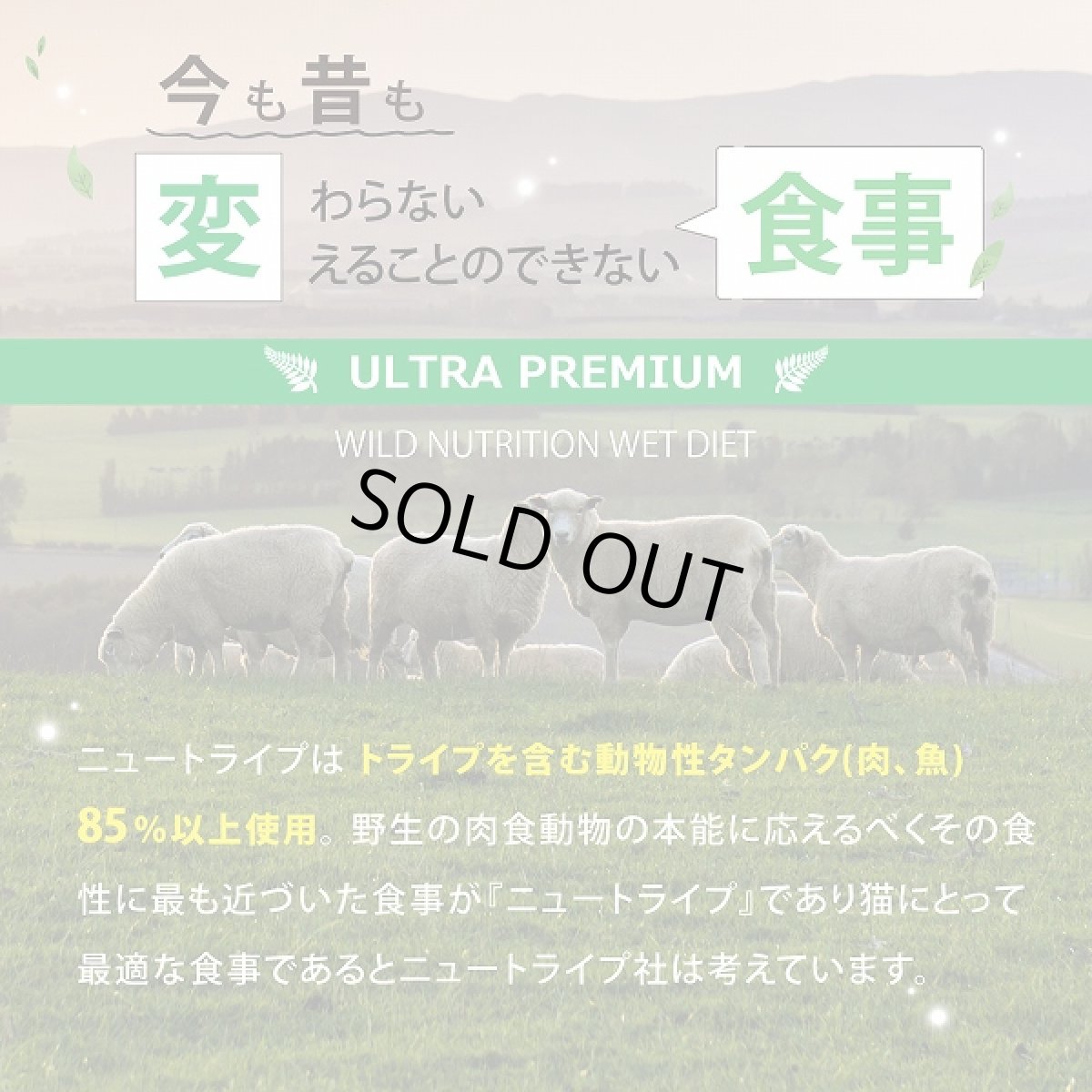 画像5: 訳ありSALE/賞味期限2026.5・ニュートライプ 猫 サーモン＆グリーントライプ 95g全年齢対応 猫用 総合栄養食 正規品nuc37241 (5)