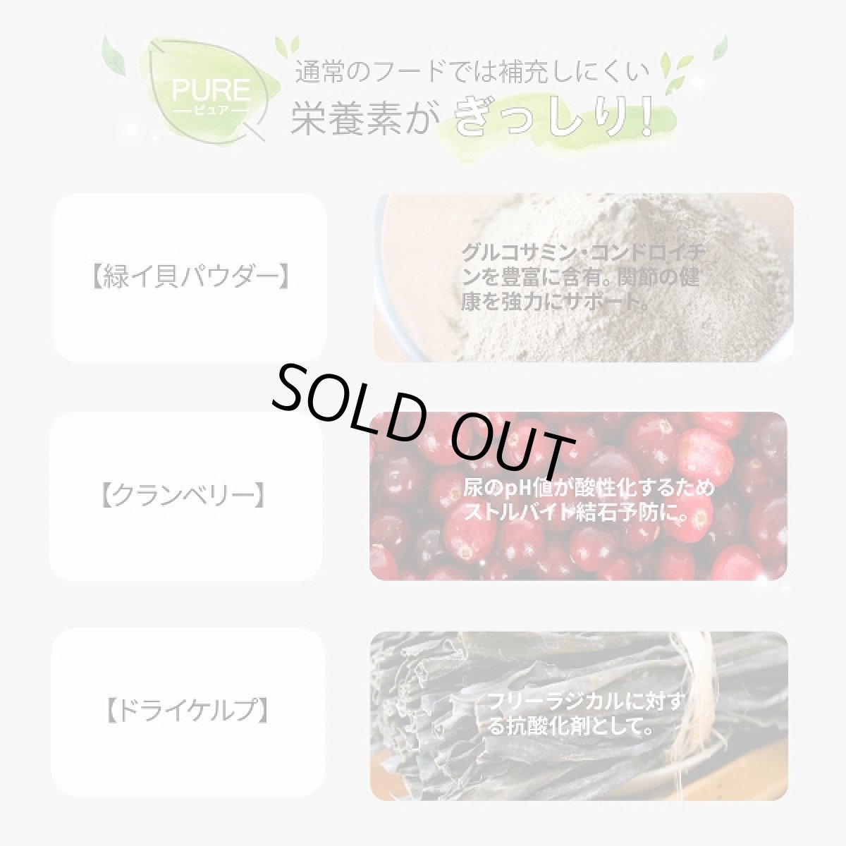 画像6: 訳ありSALE/賞味期限2026.5・ニュートライプ 猫 サーモン＆グリーントライプ 95g全年齢対応 猫用 総合栄養食 正規品nuc37241 (6)