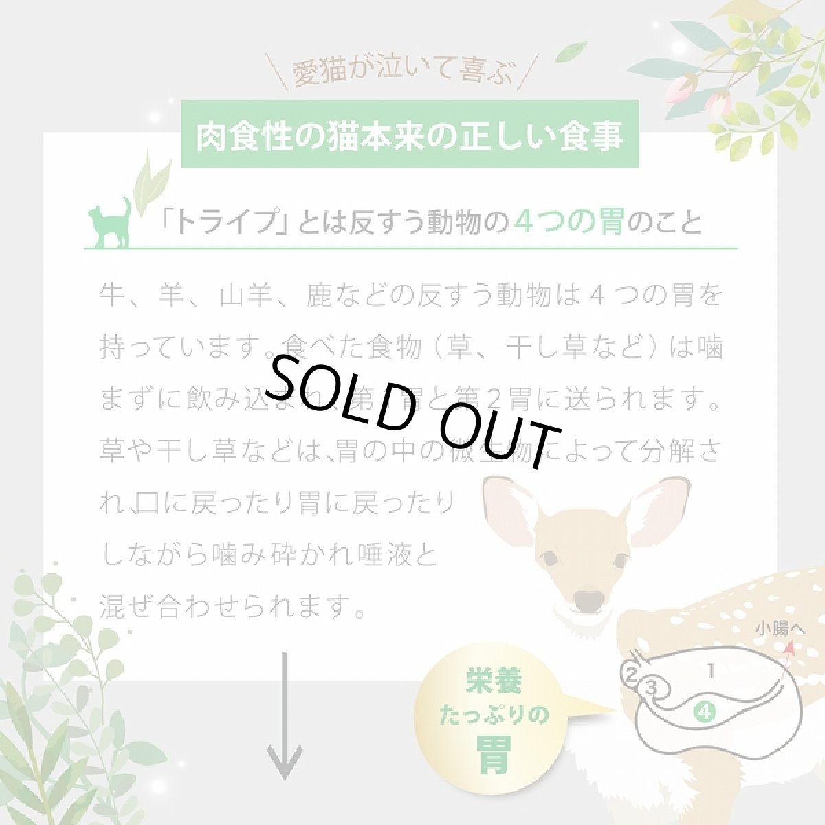 画像8: 訳ありSALE/賞味期限2026.5・ニュートライプ 猫 サーモン＆グリーントライプ 95g全年齢対応 猫用 総合栄養食 正規品nuc37241 (8)