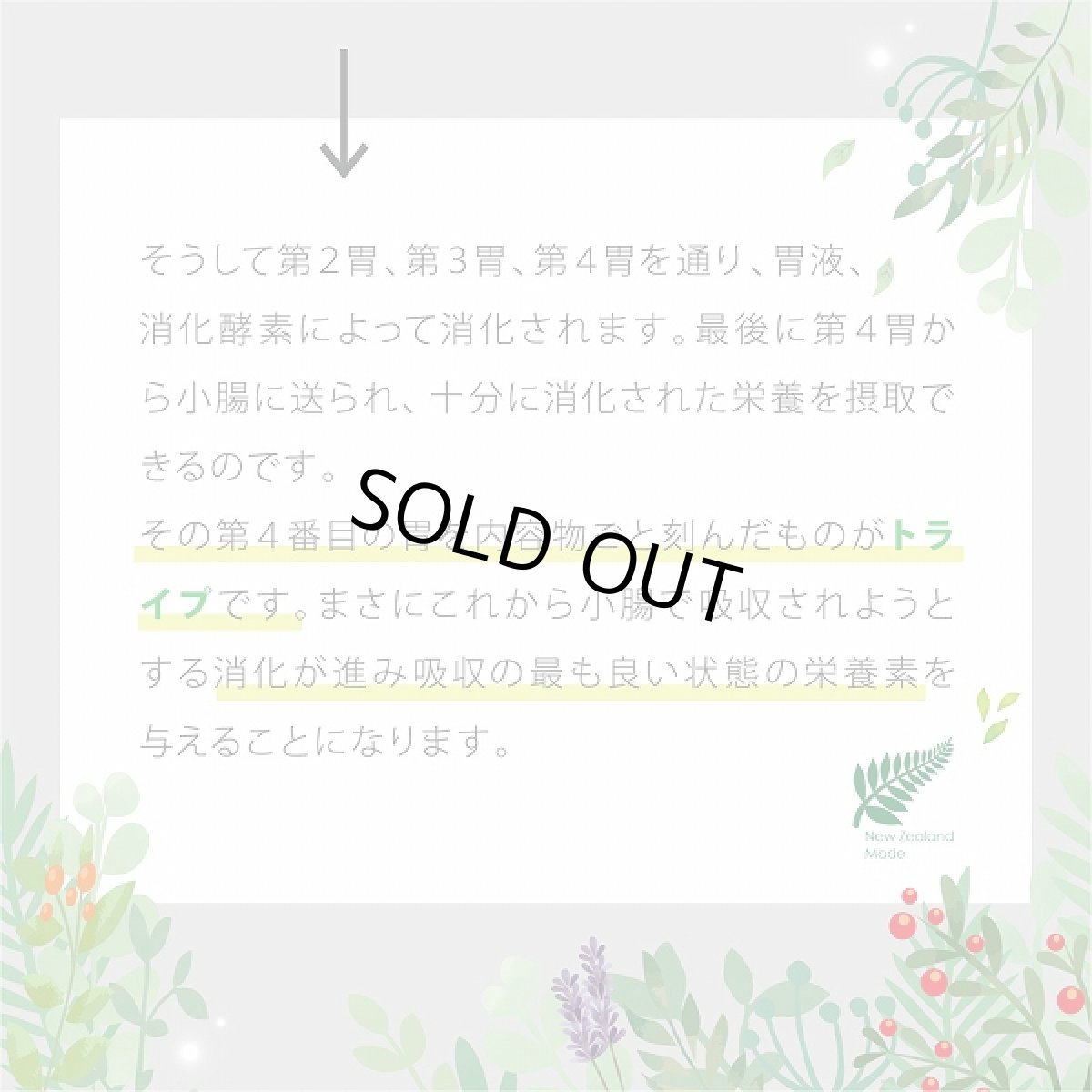 画像9: 訳ありSALE/賞味期限2026.5・ニュートライプ 猫 サーモン＆グリーントライプ 95g全年齢対応 猫用 総合栄養食 正規品nuc37241 (9)