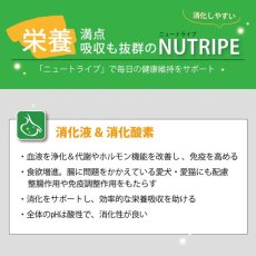 画像13: NEW 最短賞味2025.8・ニュートライプ ピュア グリーントライプ 185g全年齢対応犬用ウェット 総合栄養食ドッグフードNUTRIPE正規品nud33335 (13)