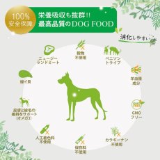 画像5: NEW 最短賞味2025.8・ニュートライプ ピュア グリーントライプ 185g全年齢対応犬用ウェット 総合栄養食ドッグフードNUTRIPE正規品nud33335 (5)