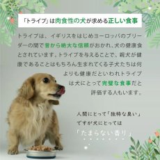 画像9: NEW 最短賞味2025.8・ニュートライプ ピュア グリーントライプ 185g全年齢対応犬用ウェット 総合栄養食ドッグフードNUTRIPE正規品nud33335 (9)