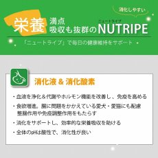 画像12: 最短賞味2026.5・ニュートライプ ピュア サーモン＆グリーントライプ 185g全年齢犬用ウェットフード 総合栄養食NUTRIPE正規品nud33465 (12)