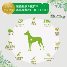 画像5: NEW 最短賞味2025.8・ニュートライプ ピュア サーモン＆グリーントライプ 185g全年齢犬用ウェットフード 総合栄養食NUTRIPE正規品nud33465 (5)