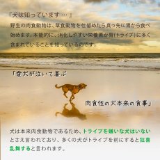 画像9: SALE/賞味2024.4・ニュートライプ 犬 サーモン＆フィッシュ200g全年齢犬用グリーントライプドライ正規品nud35131 (9)