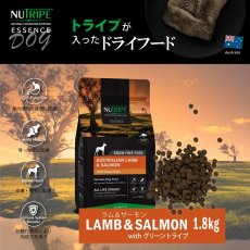 画像2: SALE/賞味2024.4・ニュートライプ 犬 ラム＆サーモン1.8kg全年齢犬用グリーントライプドライ正規品nud35148 (2)