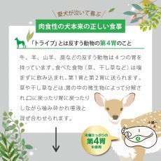 画像5: SALE！最短賞味2026.5・ニュートライプ 犬ピュア グリーントライプ 特別6缶セット全年齢対応犬用ウェット 総合栄養食NUTRIPE正規品nutds6 (5)