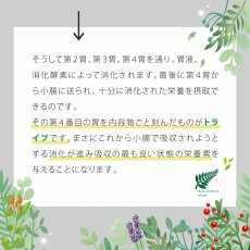画像6: SALE！最短賞味2026.5・ニュートライプ 犬ピュア グリーントライプ 特別6缶セット全年齢対応犬用ウェット 総合栄養食NUTRIPE正規品nutds6 (6)