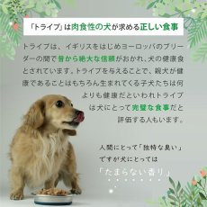 画像7: SALE！最短賞味2026.5・ニュートライプ 犬ピュア グリーントライプ 特別6缶セット全年齢対応犬用ウェット 総合栄養食NUTRIPE正規品nutds6 (7)