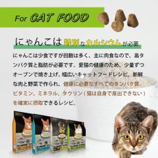 画像18: 最短賞味25.6.24・オーブンベークド 猫 フィッシュ 350g成猫用キャットフード正規品obc97132 (18)