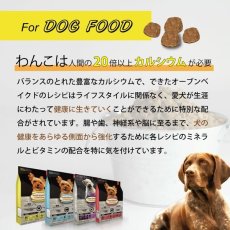 画像15: 最短賞味2025.4.1・オーブンベークド 犬 トラディション グレインフリー フィッシュ小粒 1kg全年齢犬用ドッグフード正規品obd98255 (15)