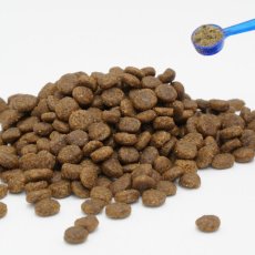 画像3: NEW 最短賞味2029.1・プロデン デンタルケアパウダー 犬 40g口腔ケア 歯垢＆歯石ケアpd15715 (3)