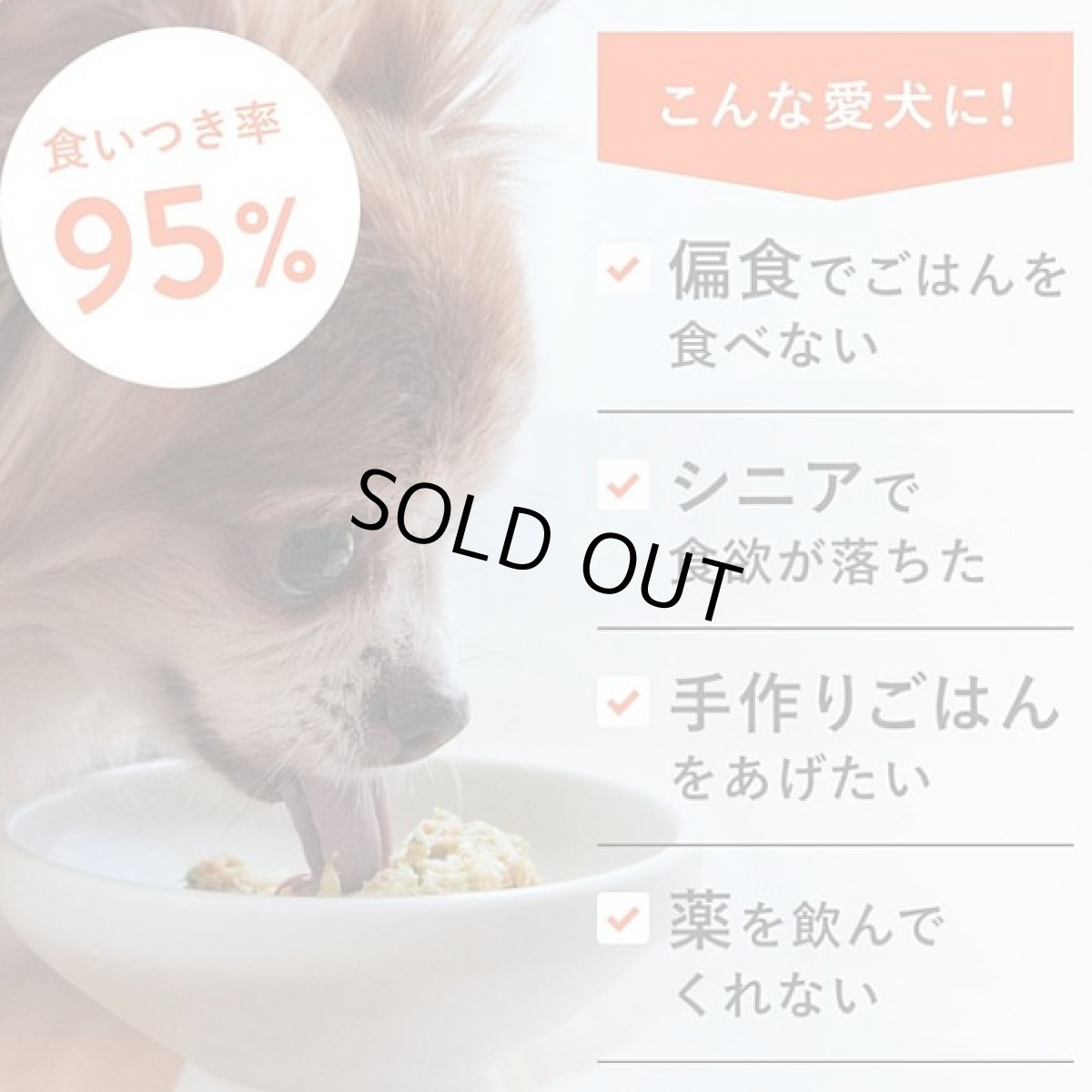 画像4: 最短賞味2027.12・ペトコト ウェットドッグフード チキン100g全年齢犬用 総合栄養食PETOKOTO正規品pet90147 (4)