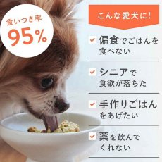 画像4: 最短賞味2026.11・ペトコト ウェットドッグフード フィッシュ100g全年齢犬用 総合栄養食PETOKOTO正規品pet90178 (4)