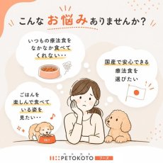 画像3: NEW 最短賞味2028.7・ペトコト パウチ ドッグフード 消化器サポート100g pet90451犬用療法食 総合栄養食PETOKOTO正規品 (3)