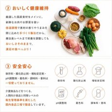 画像4: NEW 最短賞味2028.9・ペトコト パウチ ドッグフード 腎臓サポート100g pet90468犬用療法食 総合栄養食PETOKOTO正規品 (4)