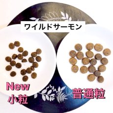 画像2: 最短賞味2025.5.30・限定レシピ・ペットカインド 犬グリーントライプ＆ワイルドサーモン 小粒907g トライプドライ全年齢犬用PetKind正規品pk00020 (2)