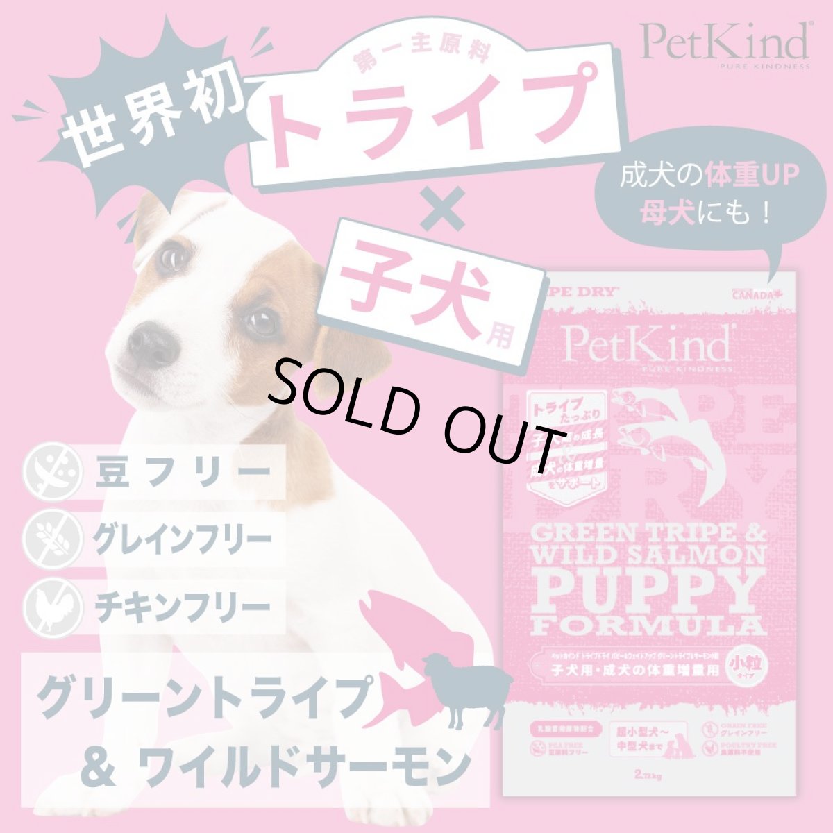 画像7: NEW 最短賞味2027.6.15・ペットカインド 犬 パピー＆ウェイトアップ グリーントライプ＆サーモン小粒 230g トライプドライ子犬用PetKind正規品pk36007 (7)
