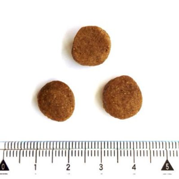 最短賞味2026.4.21・ペットカインド 犬ベニソントライプ 11.34kg 最短賞味2026.4.21・ペットカインド 犬ベニソントライプ 11.34kg