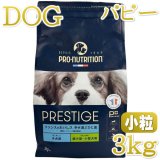 パピー用、子犬用、仔犬用ドッグフード TOP なちゅのごはん