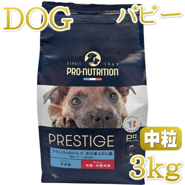 wanfoo RABGADO パピー　子犬用ドライフード　3kg wanfoo（ワンフー） ドッグフード ラブガド(ウサギ肉タイプ) シニア