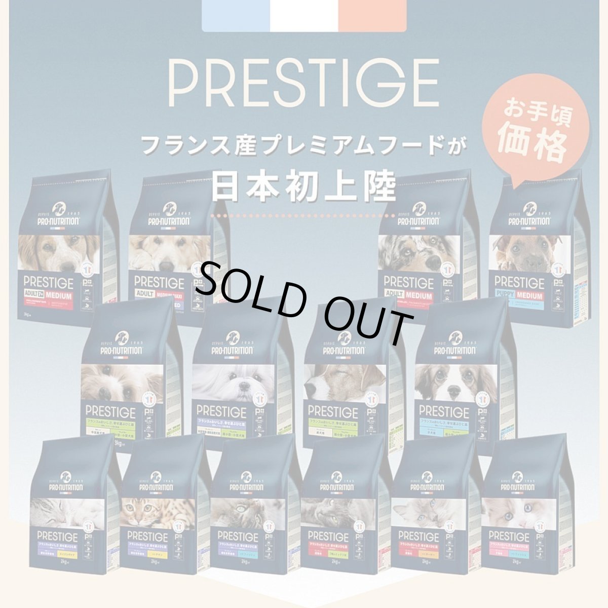 画像4: 最短賞味2026.4.4・プレスティージ 犬用 パピー中粒12kg子犬用ドッグフード正規品pn51202 (4)