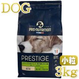 成犬用ドッグフード、ナチュラルで無添加の成犬用フードを揃え
