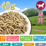 プライムケイズ【さかい企画】