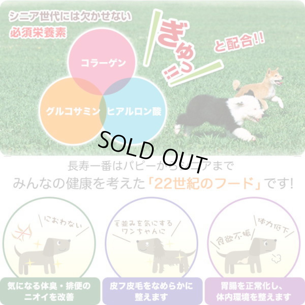 画像4: 最短賞味2027.3・プライムケイズ 長寿一番 鶏 800g 全年齢対応 産地厳選 国産 無添加ごはん さかい企画 Prime KS pr01305 (4)