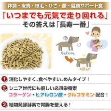 画像3: 最短賞味2025.3・プライムケイズ 長寿一番 馬肉 800g 全年齢対応 産地厳選 国産 無添加ごはん さかい企画 Prime KS pr01312 (3)