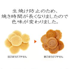 画像2: 最短賞味2025.3・プライムケイズ ごほうびプチせん 20g 犬猫用おやつ さかい企画 Prime KS pr21449 (2)